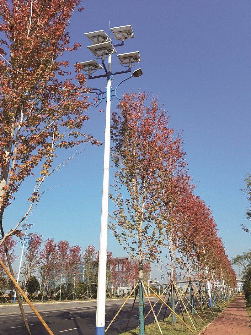 致力拼搏，用真诚感动世界！祝贺公司中标黄兴大路路路照明及亮化工程项目