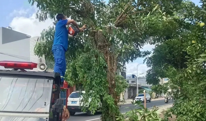 台风美莎克来袭：湖南防洪排涝设施的机电装置工程解析