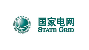 partner_state_grid 国度电网